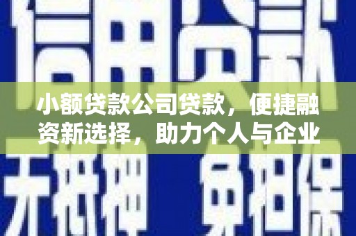 普湾新区小额贷款公司贷款，便捷融资新选择，助力个人与企业成长