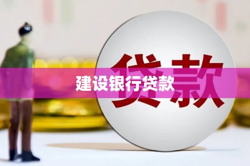 普湾新区建设银行贷款