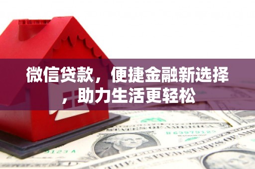 普湾新区微信贷款，便捷金融新选择，助力生活更轻松