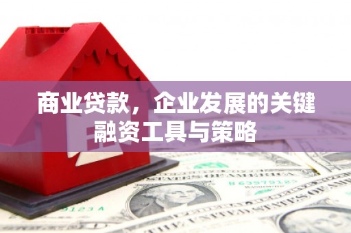 普湾新区商业贷款，企业发展的关键融资工具与策略