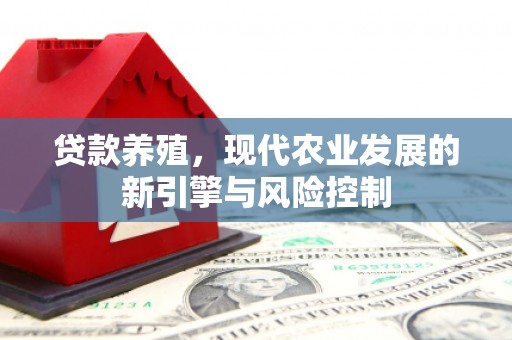 普湾新区贷款养殖，现代农业发展的新引擎与风险控制