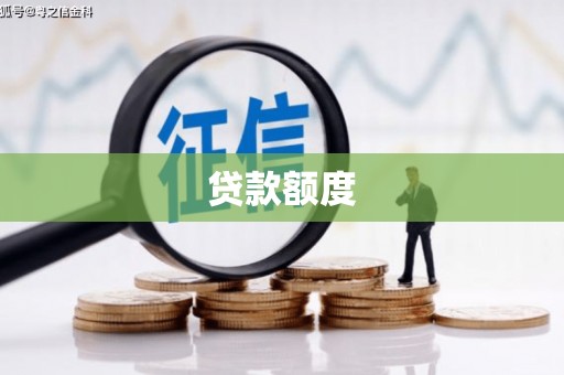 普湾新区贷款额度