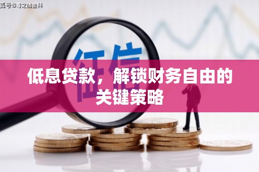 普湾新区低息贷款，解锁财务自由的关键策略