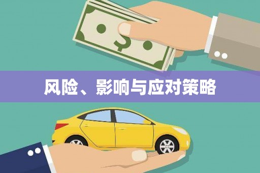 普湾新区风险、影响与应对策略