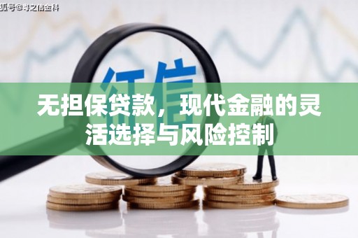 普湾新区无担保贷款，现代金融的灵活选择与风险控制