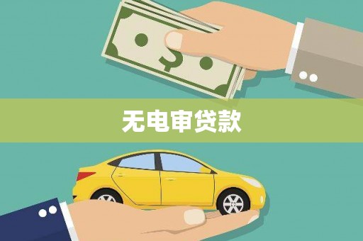 普湾新区无电审贷款