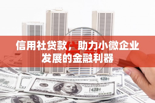 普湾新区信用社贷款，助力小微企业发展的金融利器