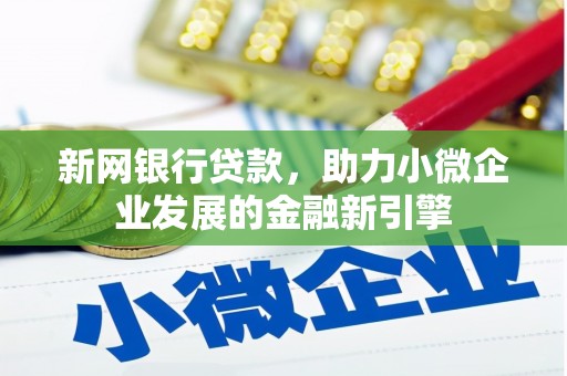 普湾新区新网银行贷款，助力小微企业发展的金融新引擎