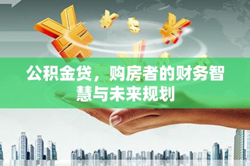 普湾新区公积金贷，购房者的财务智慧与未来规划
