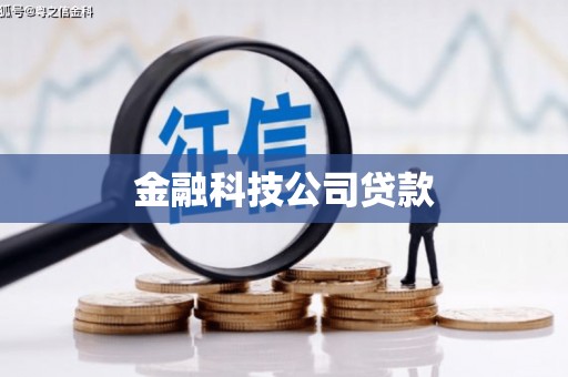 普湾新区金融科技公司贷款