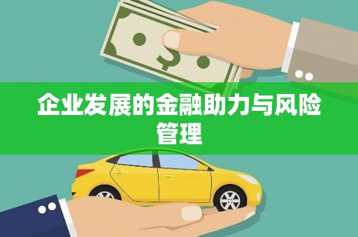 普湾新区企业发展的金融助力与风险管理