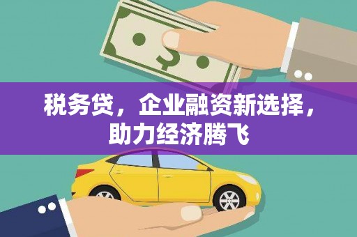 普湾新区税务贷，企业融资新选择，助力经济腾飞