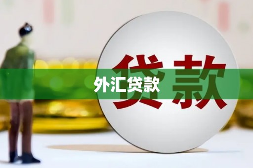 普湾新区外汇贷款