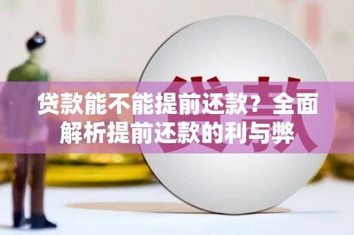 普湾新区贷款能不能提前还款？全面解析提前还款的利与弊
