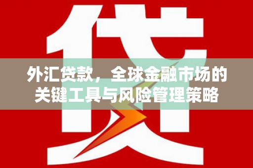 普湾新区外汇贷款，全球金融市场的关键工具与风险管理策略