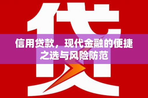 普湾新区信用贷款，现代金融的便捷之选与风险防范