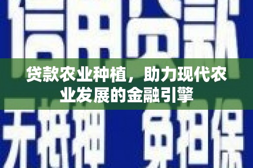 普湾新区贷款农业种植，助力现代农业发展的金融引擎