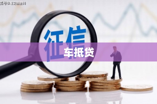 普湾新区车抵贷