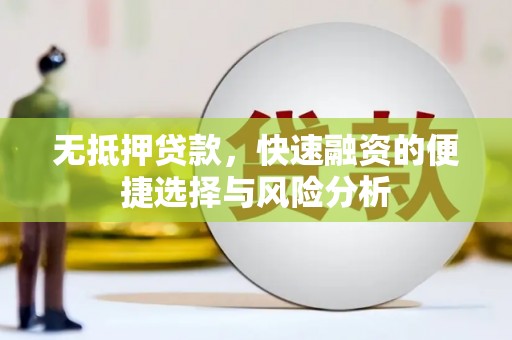 普湾新区无抵押贷款，快速融资的便捷选择与风险分析
