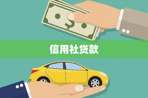 普湾新区信用社贷款