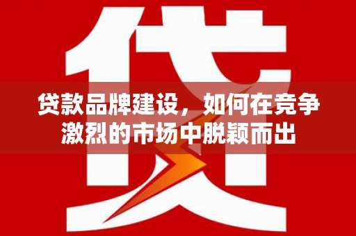普湾新区贷款品牌建设，如何在竞争激烈的市场中脱颖而出