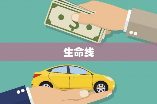 普湾新区生命线