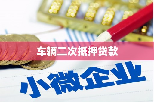 普湾新区车辆二次抵押贷款