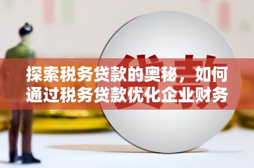 普湾新区探索税务贷款的奥秘，如何通过税务贷款优化企业财务