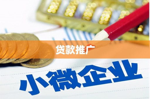 普湾新区贷款推广