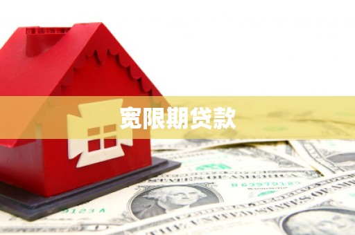 普湾新区宽限期贷款