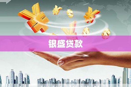 普湾新区银盛贷款
