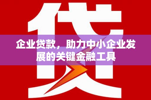 普湾新区企业贷款，助力中小企业发展的关键金融工具