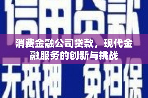 普湾新区消费金融公司贷款，现代金融服务的创新与挑战