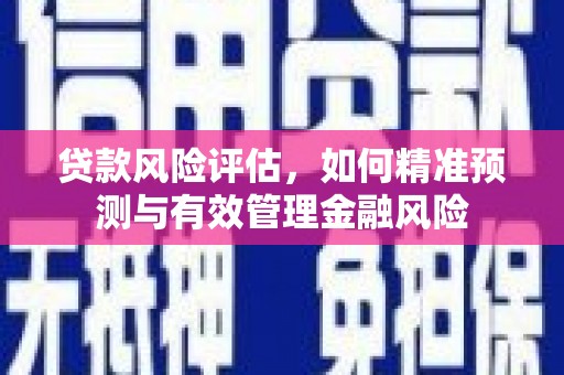 普湾新区贷款风险评估，如何精准预测与有效管理金融风险