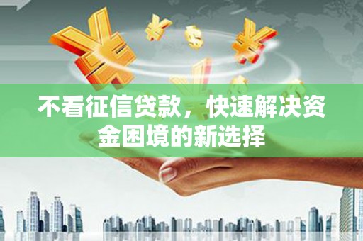 普湾新区不看征信贷款，快速解决资金困境的新选择