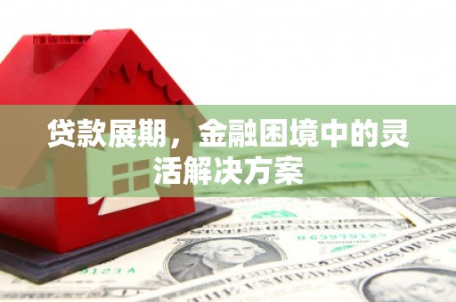 普湾新区贷款展期，金融困境中的灵活解决方案