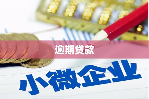 普湾新区逾期贷款