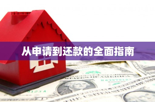 普湾新区从申请到还款的全面指南