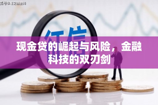 普湾新区现金贷的崛起与风险，金融科技的双刃剑