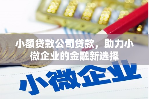 普湾新区小额贷款公司贷款，助力小微企业的金融新选择