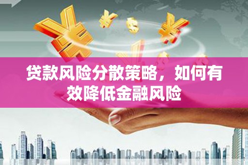 普湾新区贷款风险分散策略，如何有效降低金融风险