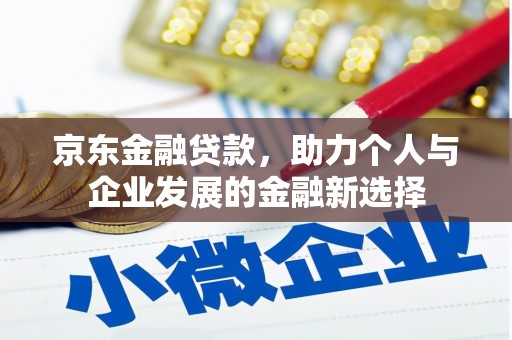 普湾新区京东金融贷款，助力个人与企业发展的金融新选择