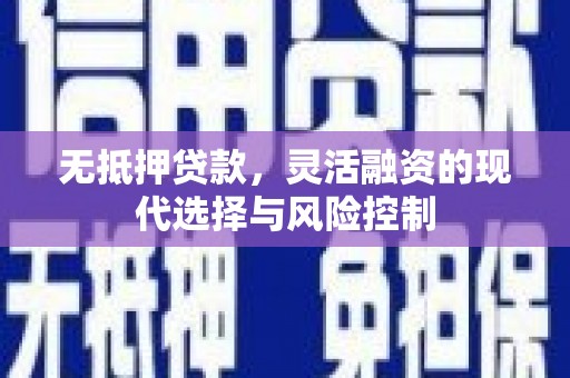 普湾新区无抵押贷款，灵活融资的现代选择与风险控制