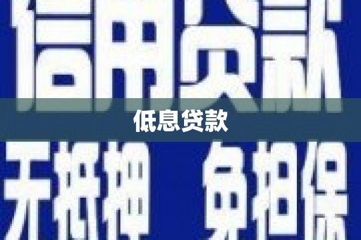 普湾新区低息贷款