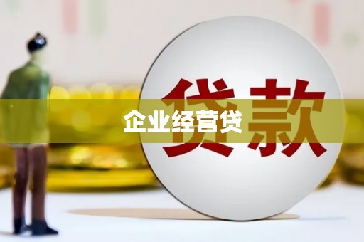 普湾新区企业经营贷