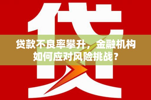 普湾新区贷款不良率攀升，金融机构如何应对风险挑战？