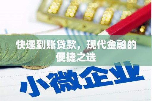 普湾新区快速到账贷款，现代金融的便捷之选