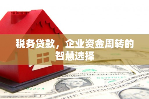 普湾新区税务贷款，企业资金周转的智慧选择