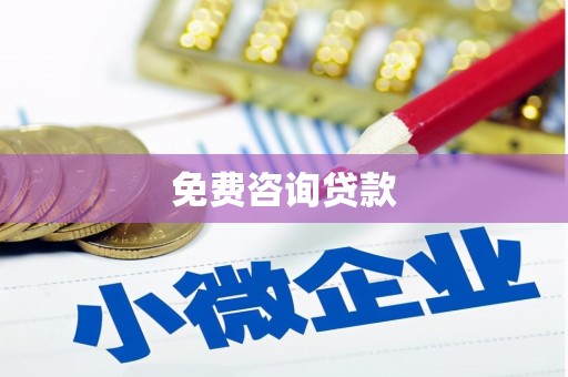 普湾新区免费咨询贷款