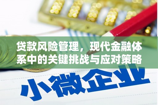 普湾新区贷款风险管理，现代金融体系中的关键挑战与应对策略